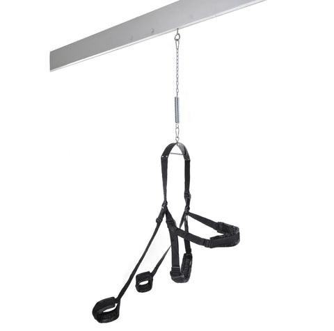 Fetish Fantasy Fully Adjustable Fantasy Sex Swing - Love Eggs and Kegel Exercisers