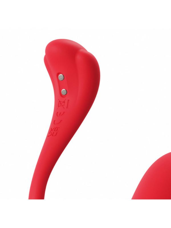 Phoenix Neo 2 Love Eggs and Kegel Exercisers