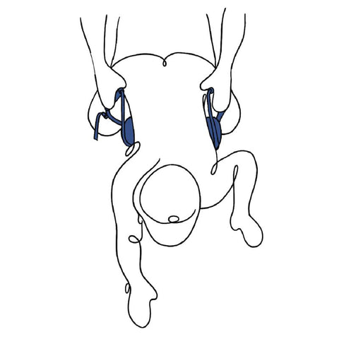PIVOT Deluxe Doggie Strap - Sex Furniture