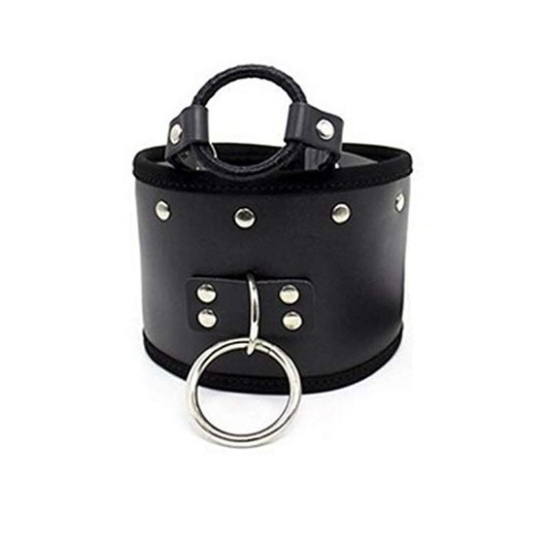 Posture Collar & O Ring Gag Light Collars and Leads