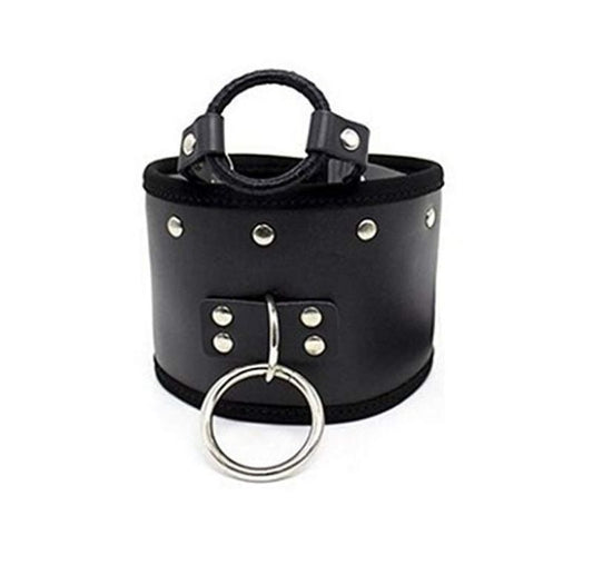 Posture Collar & O Ring Gag Light - Collars and Leads