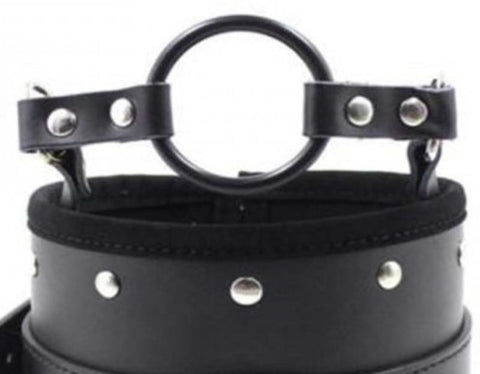 Posture Collar & O Ring Gag Light - Collars and Leads