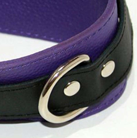 Purple Pleasures BDSM Collar with Studs O-Rings - Collars and Leads