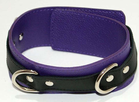 Purple Pleasures BDSM Collar with Studs O-Rings - Collars and Leads