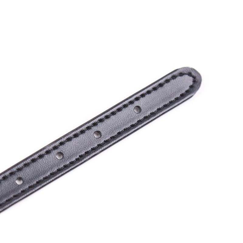 Quick Buckle Ball Gag Male Chastity