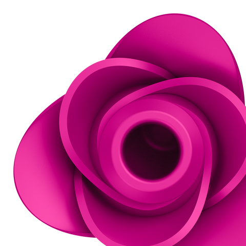 Satisfyer Pro 2 Modern Blossom Silicone Clitoral Massager - Clit Ticklers and Pulsators