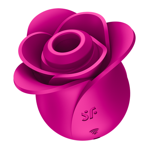 Satisfyer Pro 2 Modern Blossom Silicone Clitoral Massager - Clit Ticklers and Pulsators