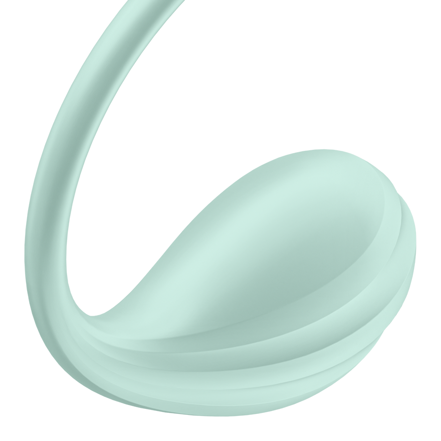 Satisfyer Smooth Petal App Control 12 Functions G Spot Vibrator Clit Ticklers and Pulsators