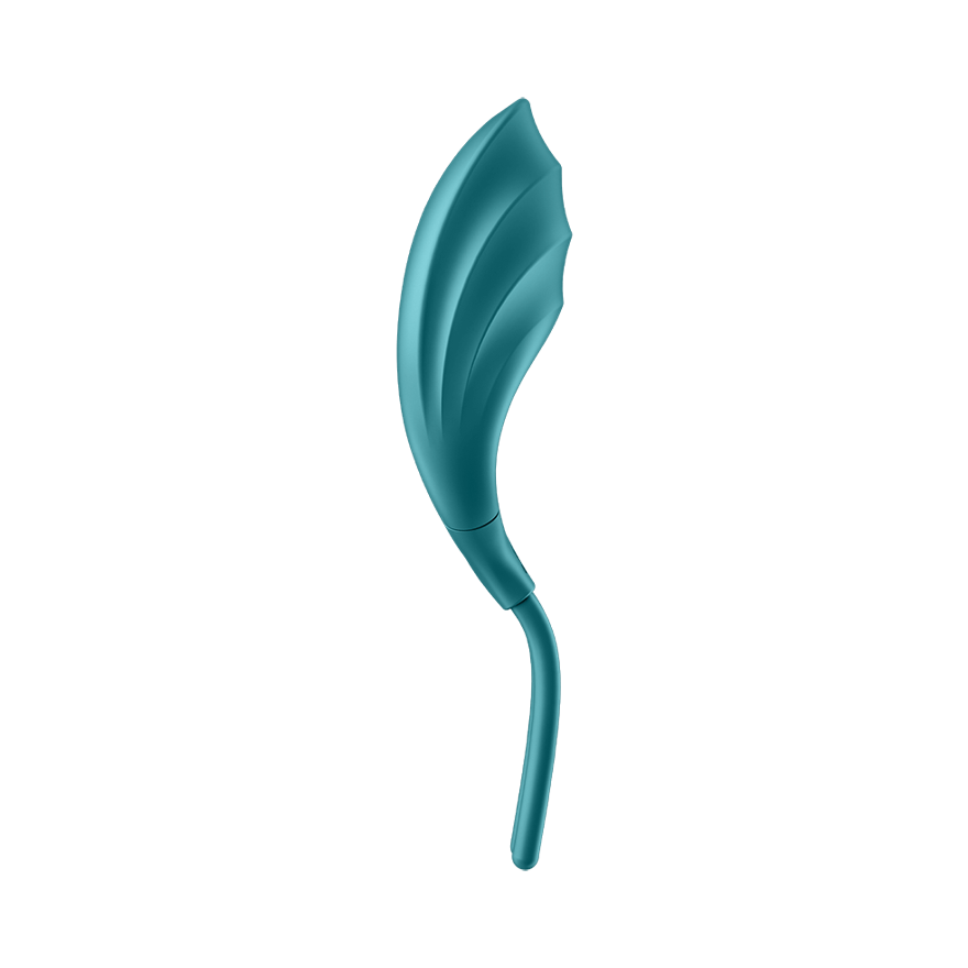 Satisfyer Swordsman Adjustable Lasso Cock Ring Ball and Cock Toys