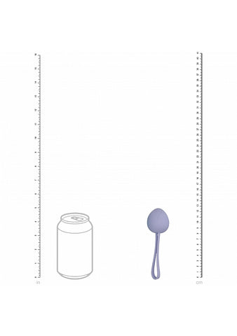 Shots Toys LOVELINE PelviFit Coloured Kegel Kit - Love Eggs and Kegel Exercisers