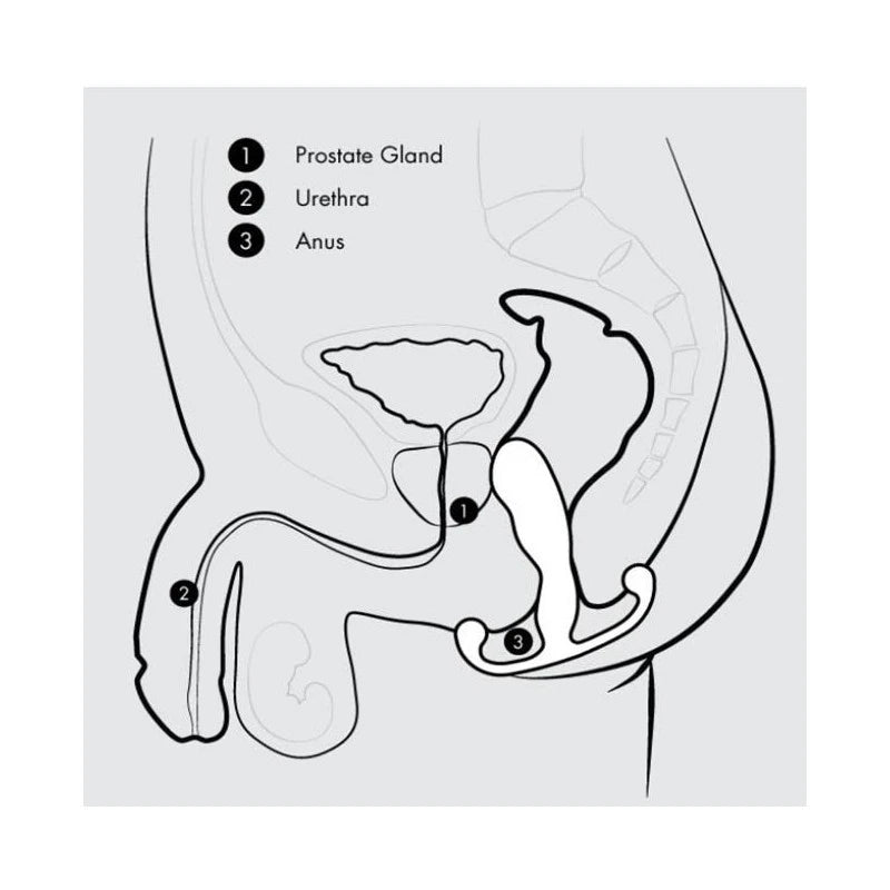 Aneros Progasm Classic Large Prostate Massager Prostate Toys