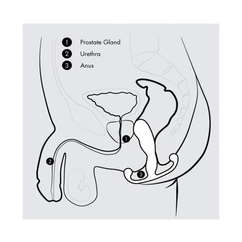 Aneros - Progasm Classic - Prostate Toys