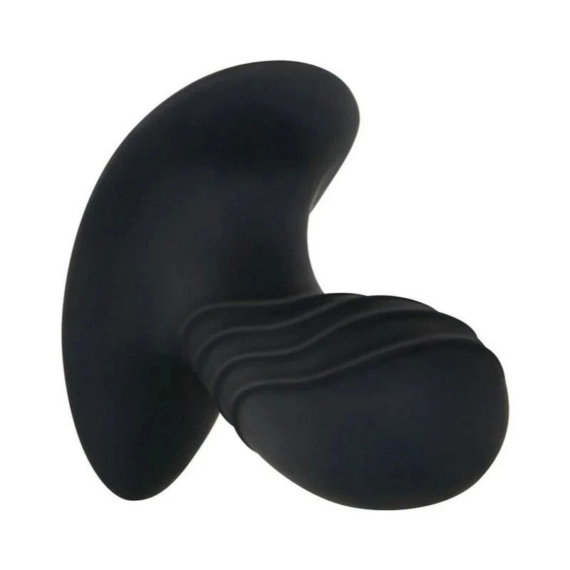 Zero Tolerance The Gentleman Prostate Massager Prostate Toys