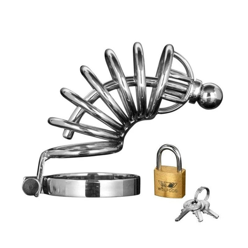 Asylum 6 Ring Locking Chastity Cage Male Chastity