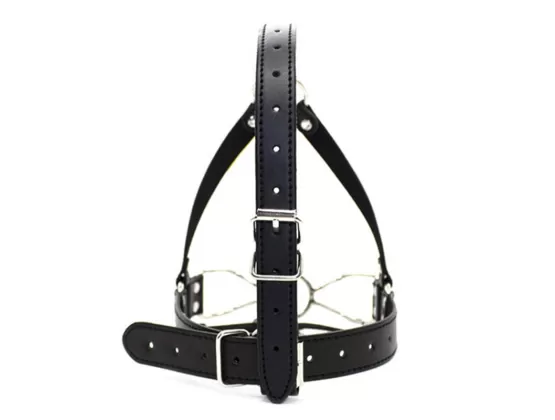 Spider Gag With Harness Bdsm Sensory Deprivation Mouth Gag